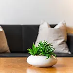 Plathner By Interhome Apartment Bad Hofgastein